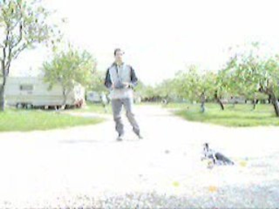 Le DF4 Zulu (by day) pour le concours tuning d'heli4