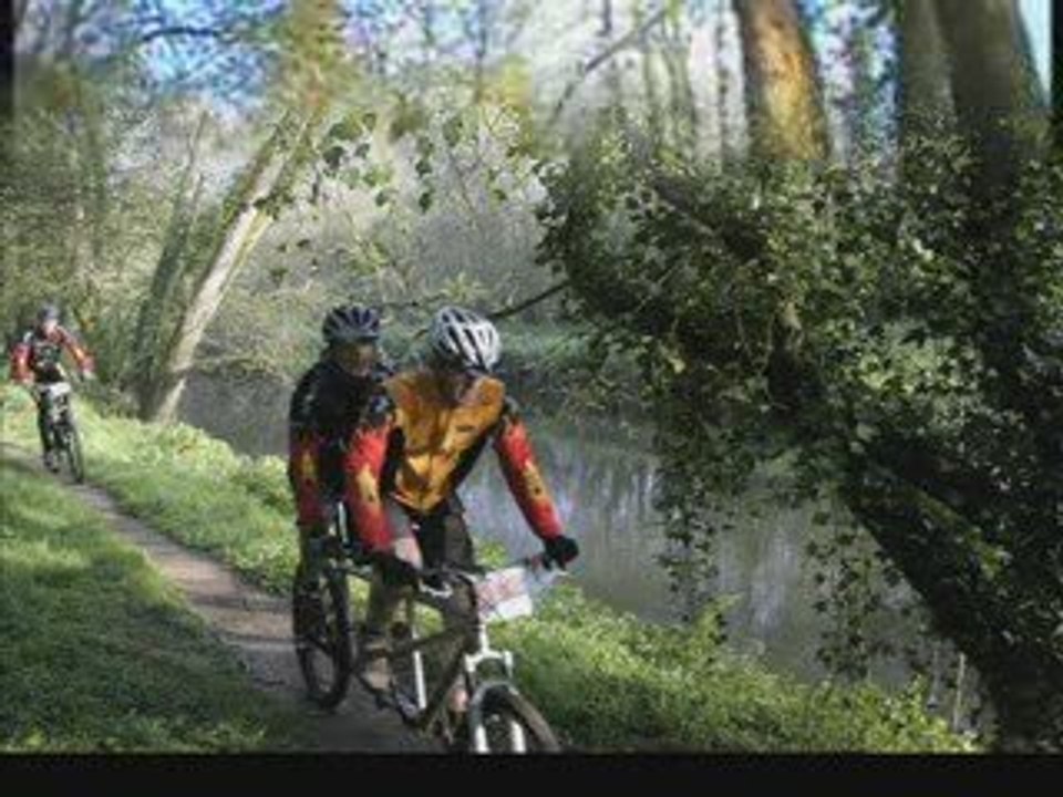 Tro_Erge_VTT_2009