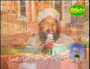 MUhammad Sohaib Raza Qadri