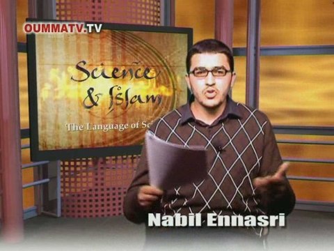 Introduction aux sciences islamiques