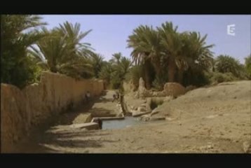 ANTIQUITE PALMYRE   1/2