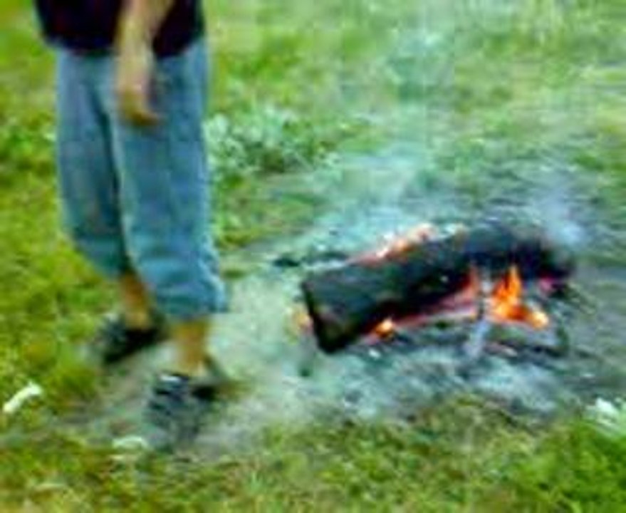 pet flame