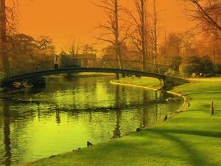 Bordeaux.Fashion style 1   feat  Odj créateur photographe