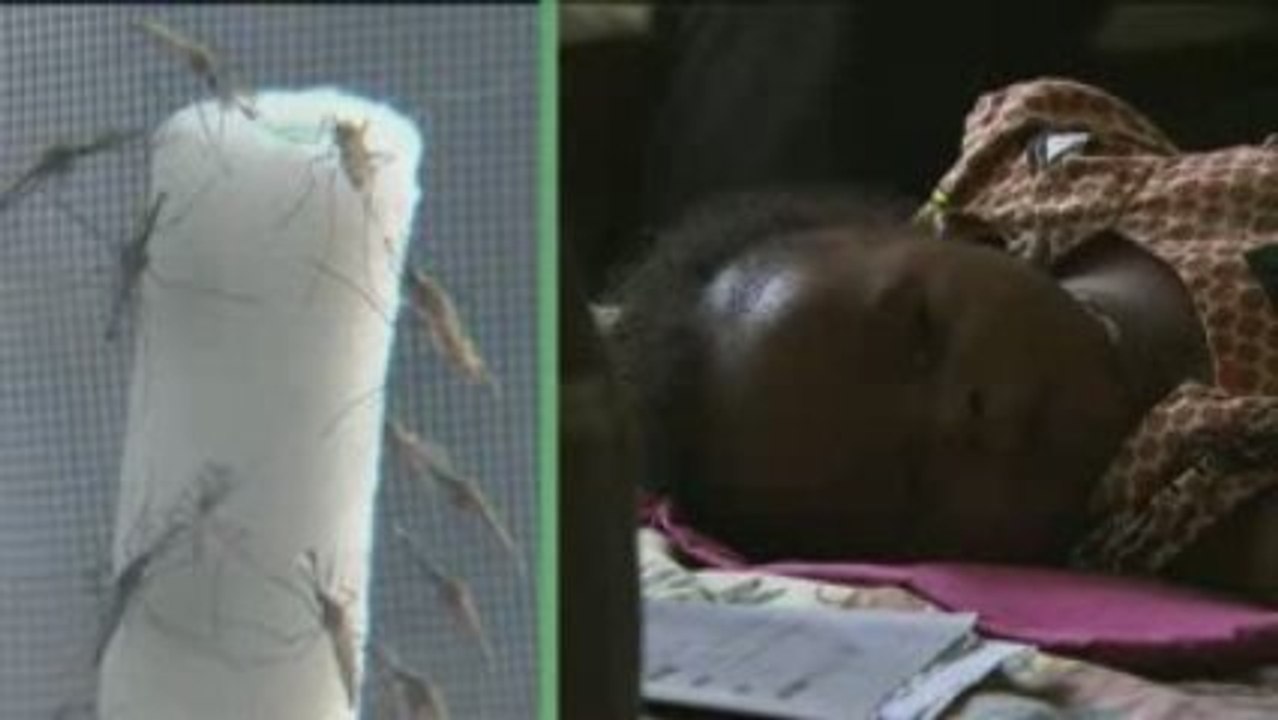 Lutte contre le paludisme au Cameroun