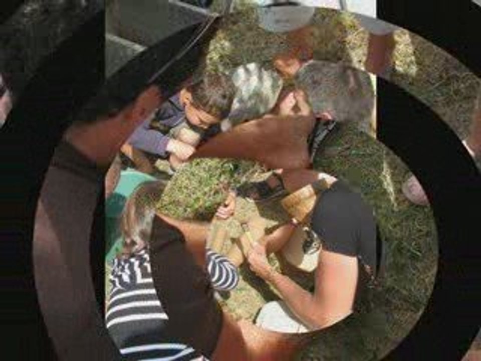 Diaporama percussions 2009