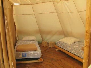 Diaporama tipis 2009