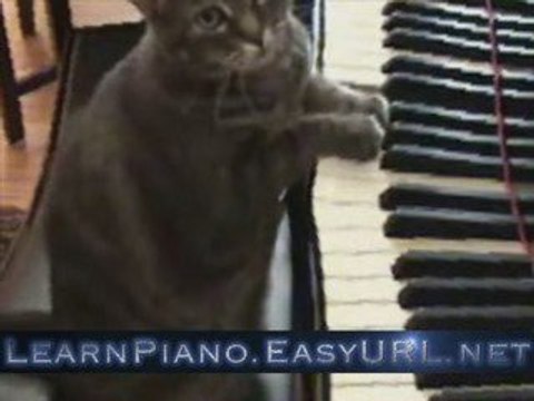 Piano Lessons: Learn how to play piano online