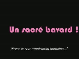 Une video de "Des chiens de prairie parmi les Hommes"