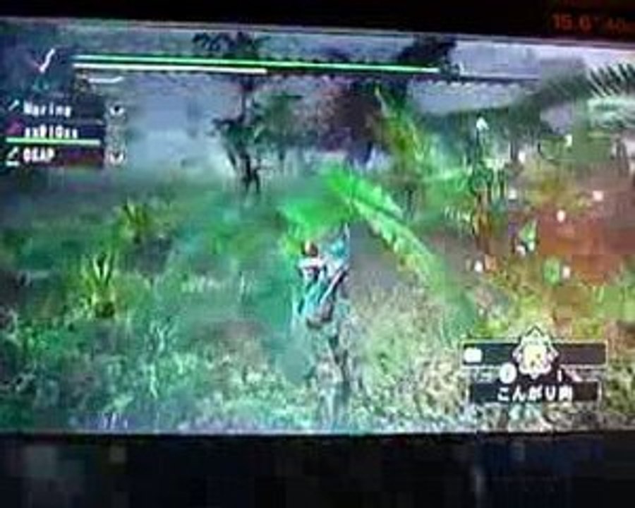 Monster Hunter G Wii online