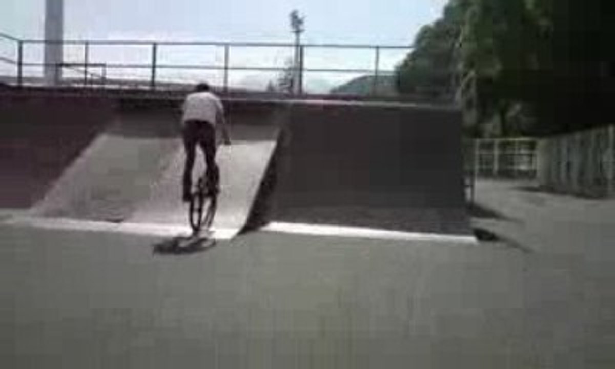 Tailwhip