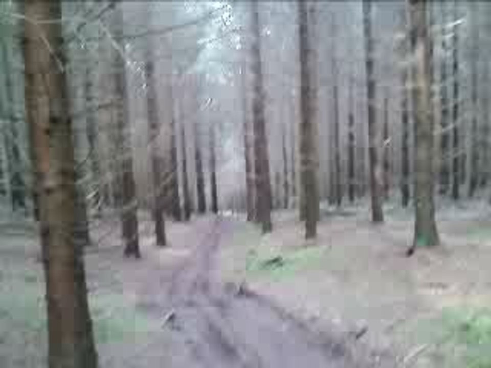 V300409_18.36