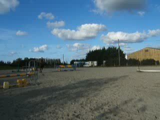 début en saut d'obstacle