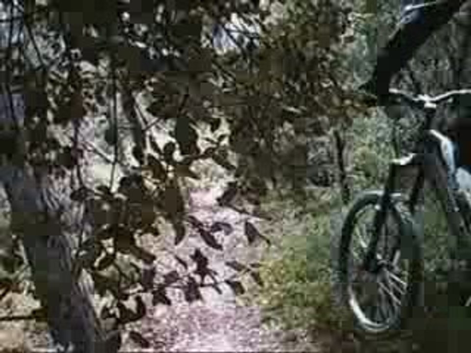 DH de Bize - Section 1