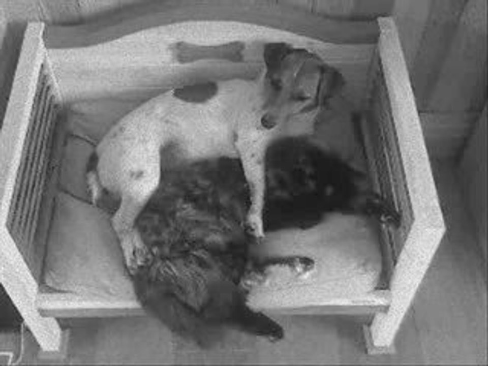Duchesse & Abi