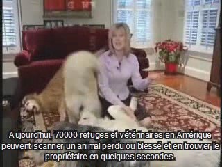 Puce electronique - le début de la fin