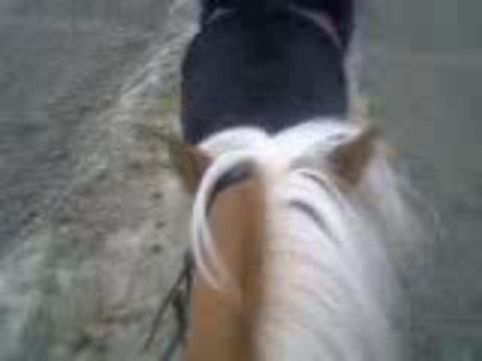 balade en groupe ac sabine