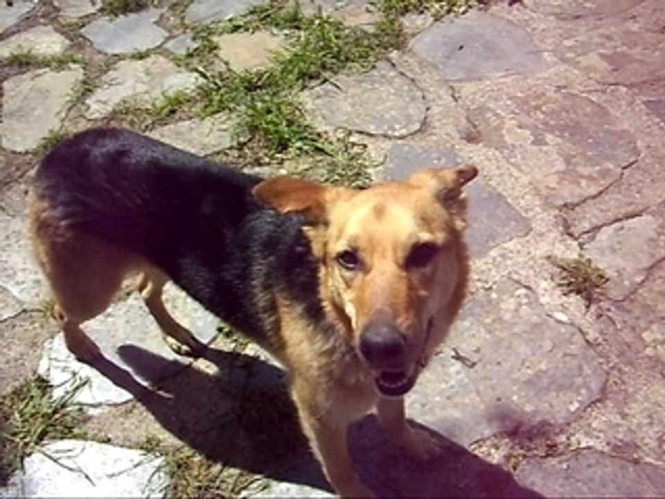 vacances en Cévennes 4, avril 2009