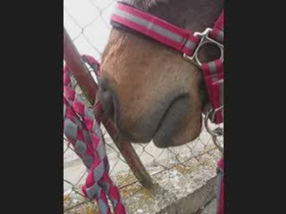 Rixia s'amuse