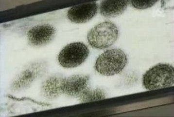 Analyse de la pandémie de grippe dans le documentaire 'La Fin Du Monde - Les 4 Scénarios' (2005)