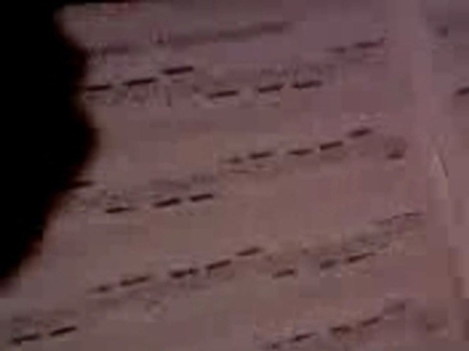 Tommy ki ns joue un air