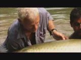 River Monsters - Giant Arapaima in the Amazon