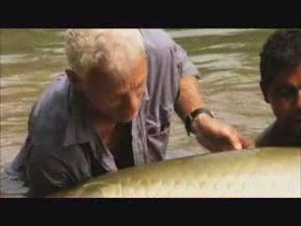 River Monsters - Giant Arapaima in the Amazon
