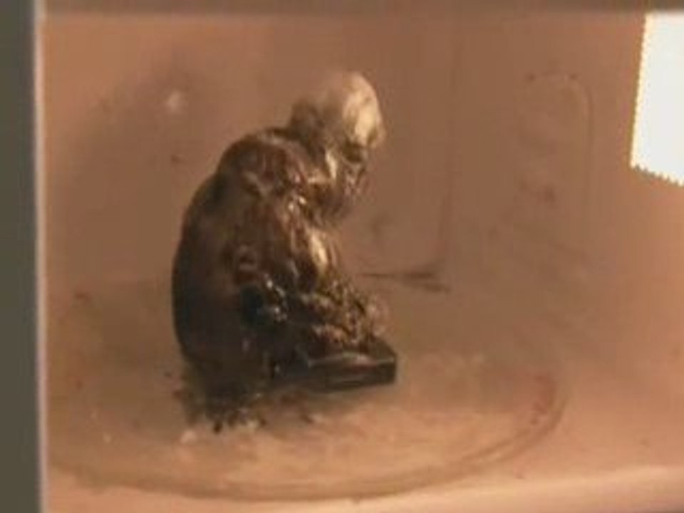 Microwave Monster