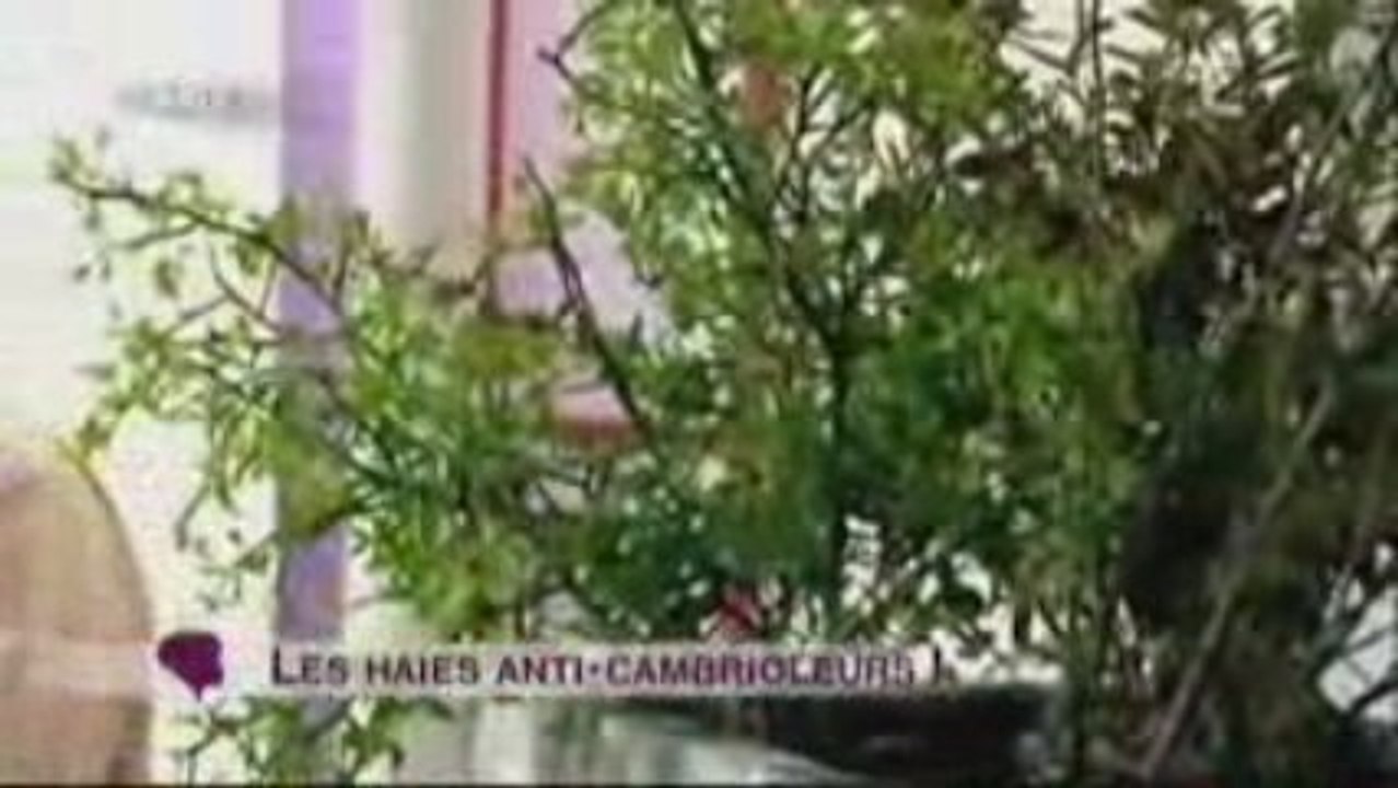 Haies anti Cambriolage France2