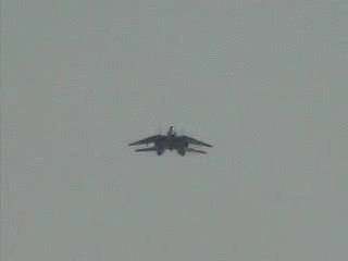 Air Show F14 Tomcat