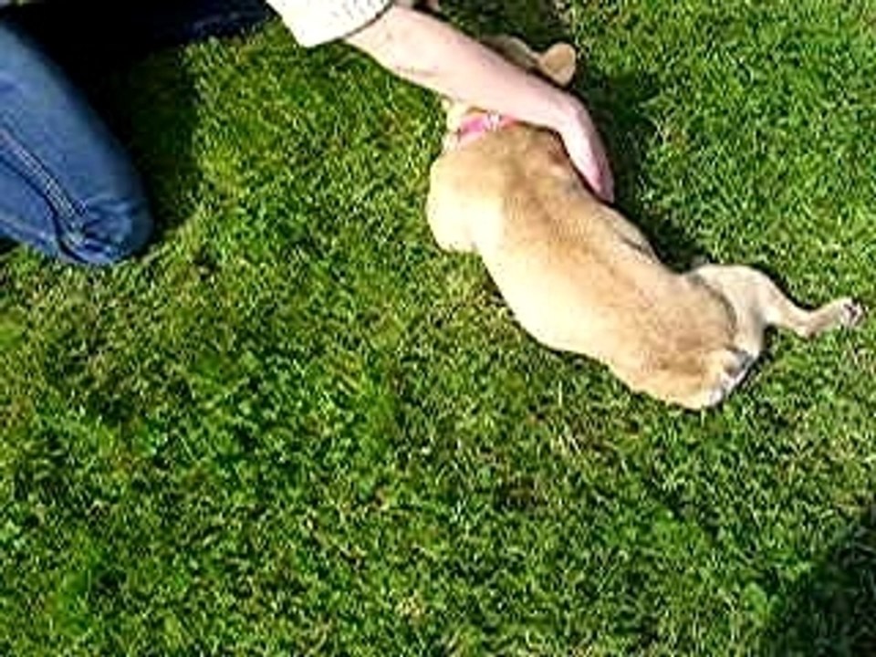 DSCN3757