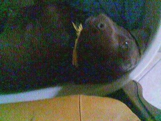 MOn tOutOu