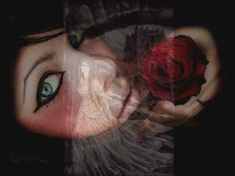 Within Temptation - L'Univers Gothique