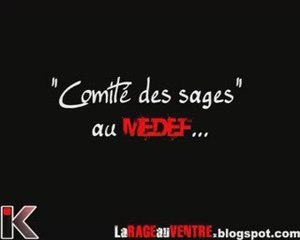 "Comité des sages" au MEDEF