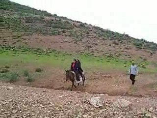 Suite des filles et la mule 100_2519