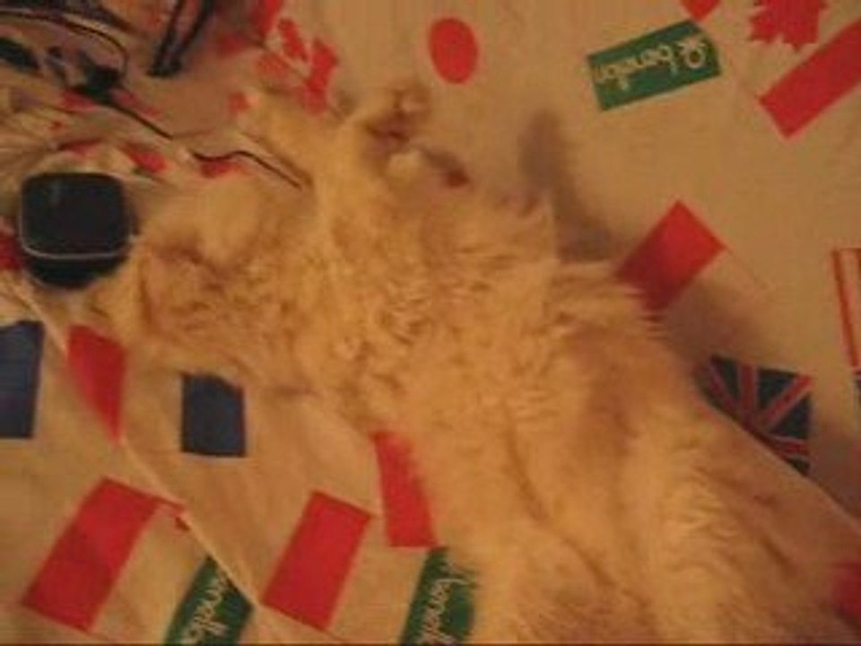 Kuzya
