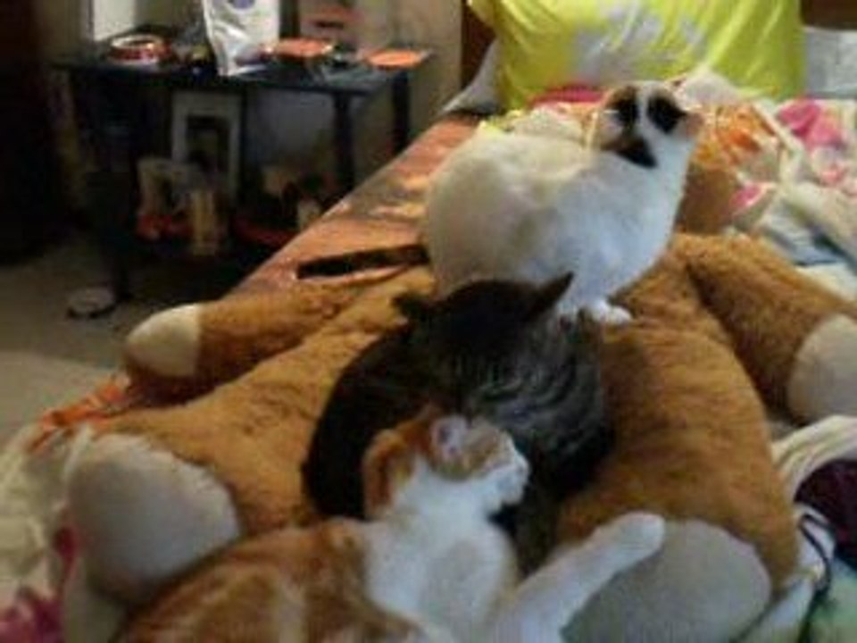 Bonhomme, Chouquette et Mimi
