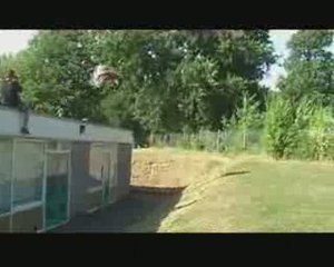 Parkour - Amazing Free Running