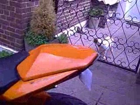 z 750 Leovince gp pro