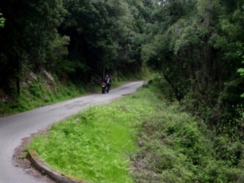 Metimax - Corse 2009 - Recos ES2