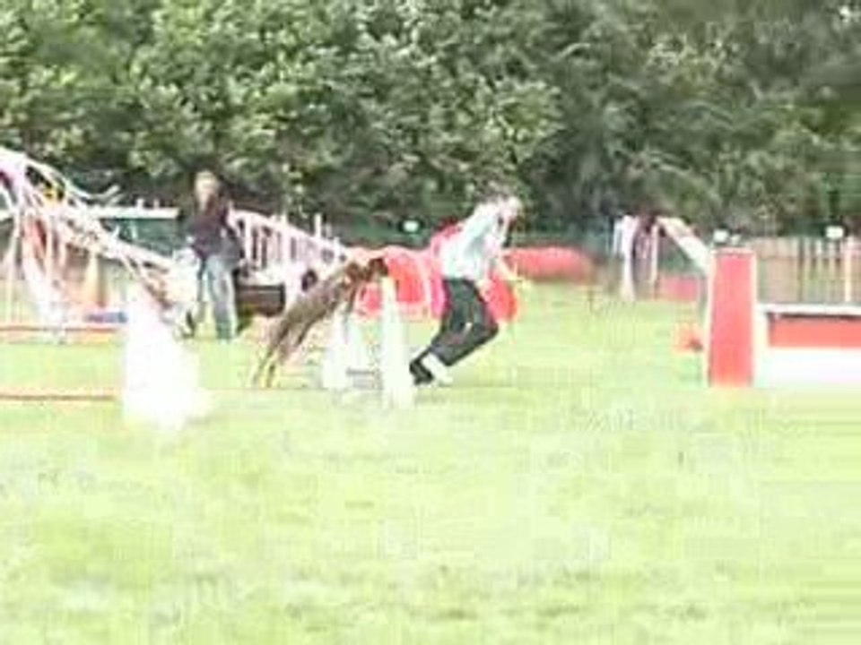 Brisca au jumping du concours interne de l'ECSM