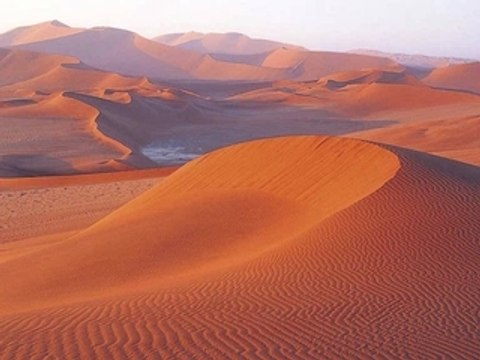 talib al-habib : the articles of_ aith