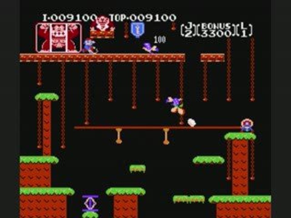 Donkey Kong Jr