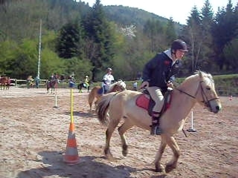 2 tasses le 26 avril 2009 pony games