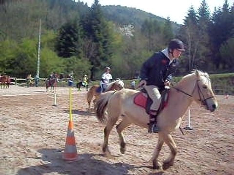 2 tasses le 26 avril 2009 pony games