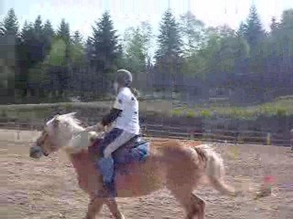 Carton le 26 avril 2009 pony games