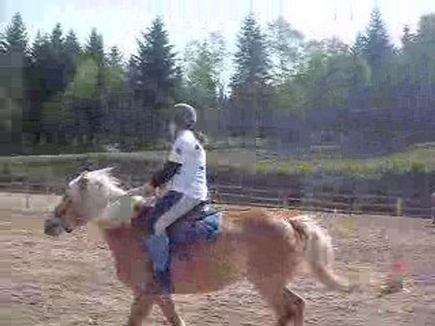 Carton le 26 avril 2009 pony games