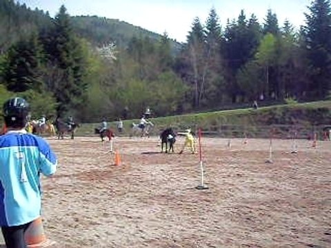 Teksab le 26 avril 2009 pony games