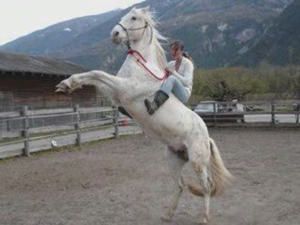 Visite de manon, de Jéromine et Gymkhana à Grimisuat