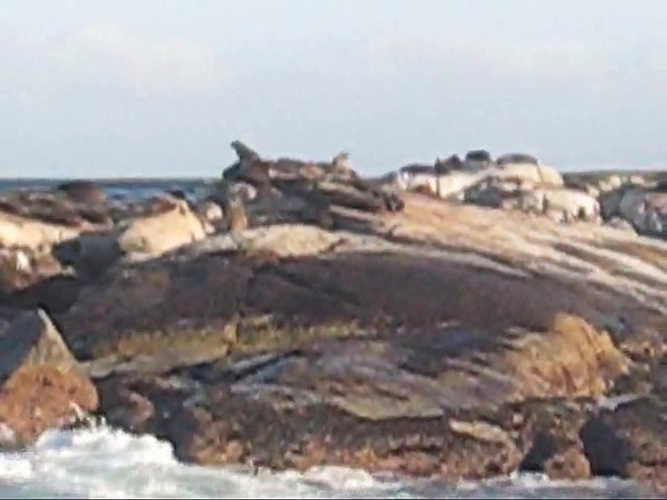 Ile aux phoques