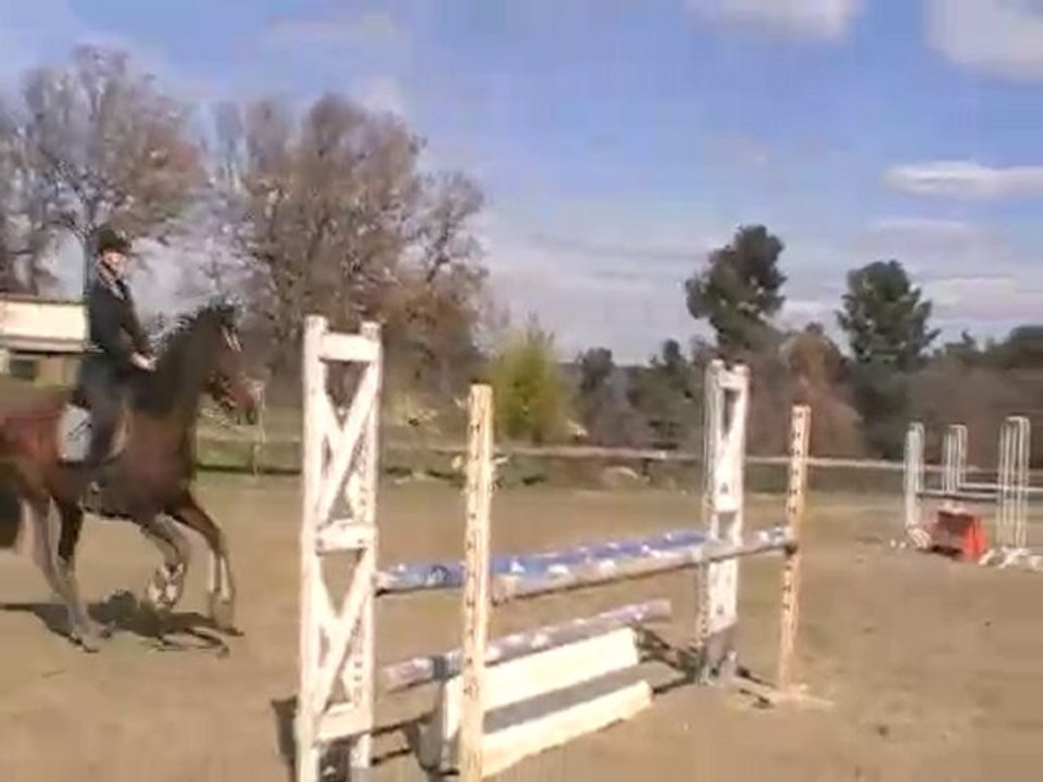 Stage cce khalifat et moi oxer bleu